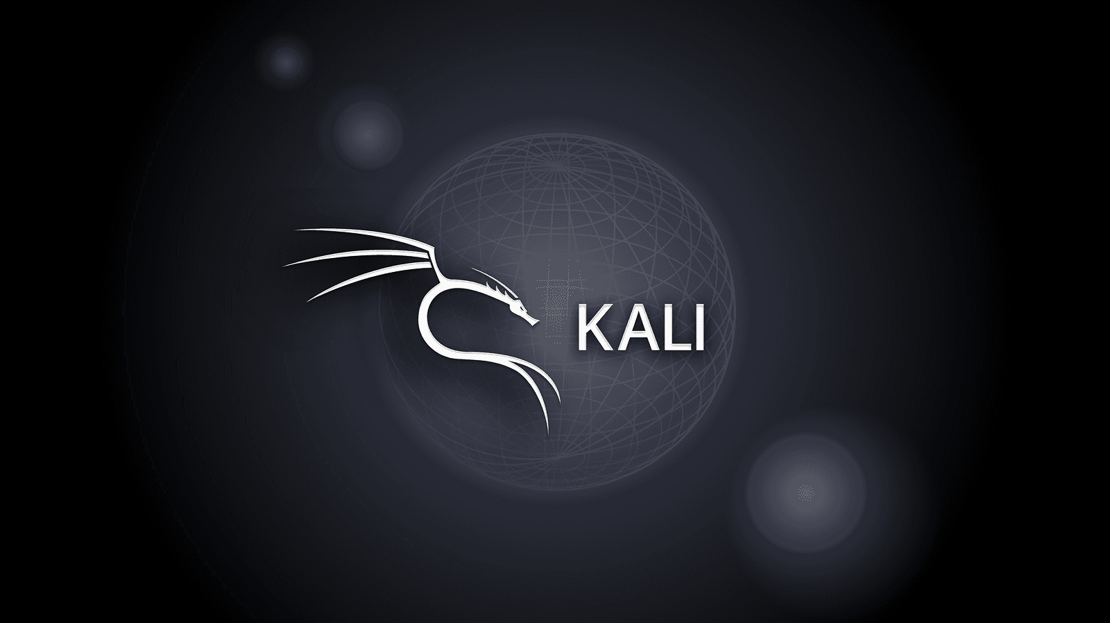 Project Kali Linux Installation
