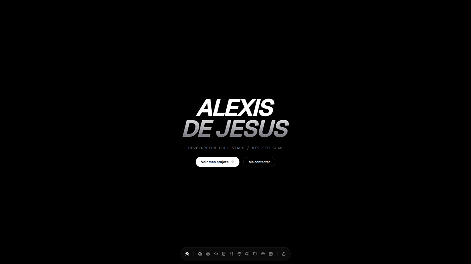 Project Portfolio Alexis De Jesus